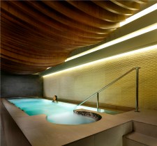 The Ritz-Carlton Spa - vitality pool