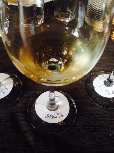 11079372_338644879680182_4422778530526900433_o