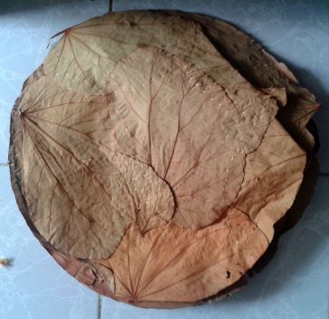 Vistaraku_(An_Indian_eating_plate)_made_with_broad_dried_leaves_02
