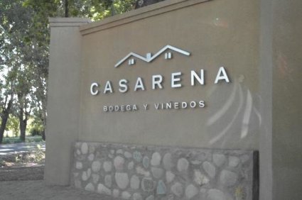 casarena-winery-and-vinyards