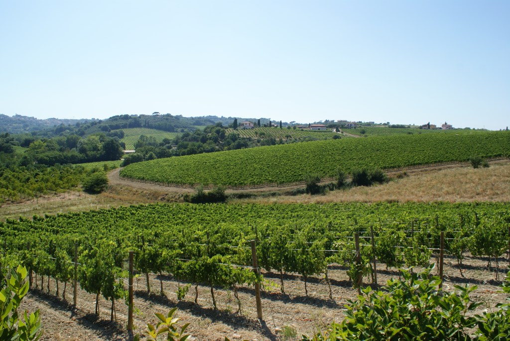 Anteprime di Toscana 2019: Tasting fine wines in&nbsp;Tuscany