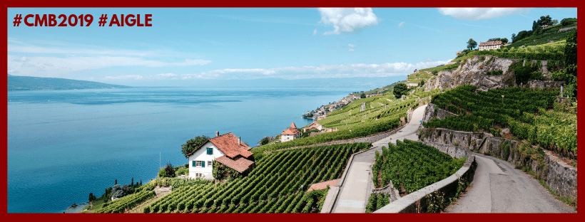 CONCOURS MONDIAL DI BRUXELLES 2019 GOES BACK TO EUROPE AFTER AN ORIENTAL&nbsp;OUTING