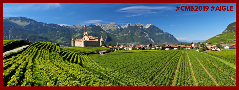 54522315_10156651187093551_194564007078658048_n